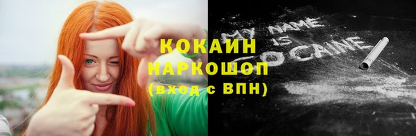 бошки Алексин