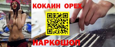 стафф Гусев