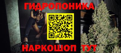 прущие грибы Гусиноозёрск