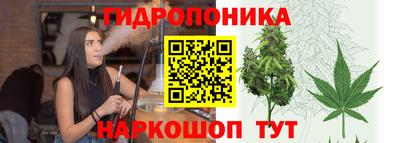винт Гусь-Хрустальный