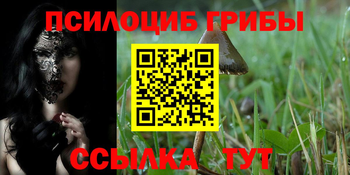 Галлюциногенные грибы мицелий Нефтекумск